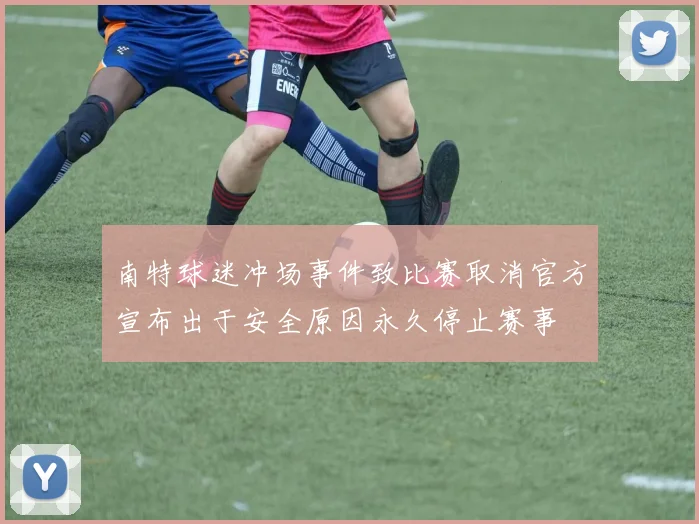 南特球迷冲场事件致比赛取消官方宣布出于安全原因永久停止赛事